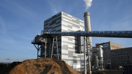 Biomasse, les grandes centrales pointées du doigt