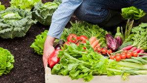 Agriculture bio, l’Europe demande son avis au citoyen