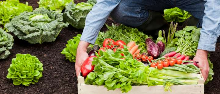 Agriculture bio, l’Europe demande son avis au citoyen