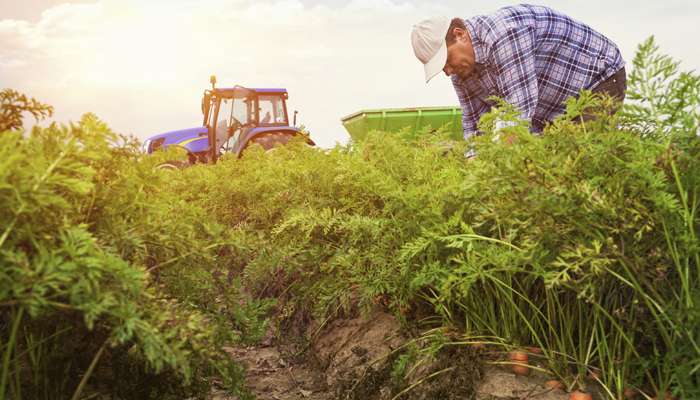 « Maintenant, sauvons l’agriculture !  »