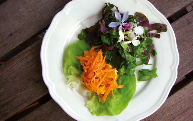 Salade de jeunes carottes à l’orange et à la menthe 