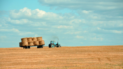 Pour la FNAB, l'Europe doit encourager les agriculteurs à produire mieux et non plus