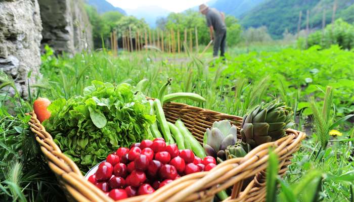 Manger bio ou local ?