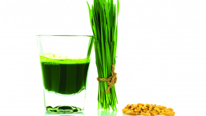 Boire vert avec le jus d'herbe de blé