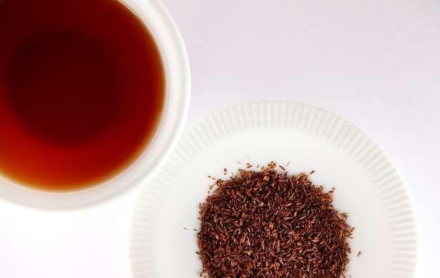 Rooibos, thé rouge